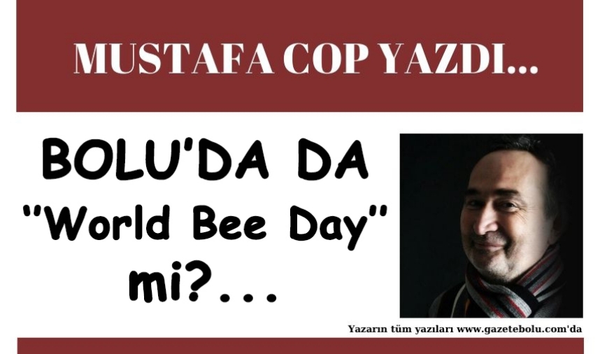 BOLU’DA DA “ World Bee Day “ mi ?..