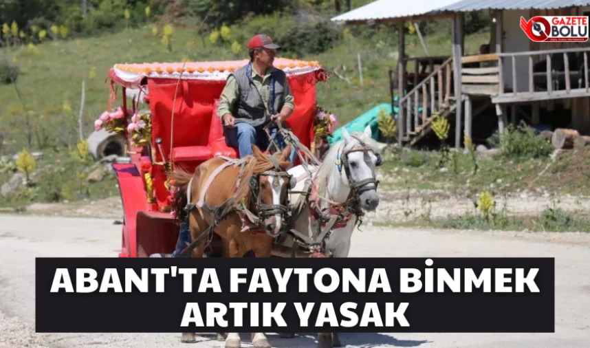 ABANT'TA FAYTON İŞİ SONLANDIRILDI