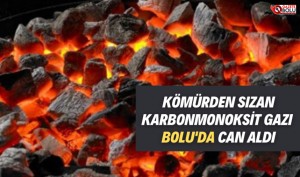 KARBONMONOKSİT GAZI BOLU'DA CAN ALDI